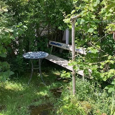 Eyes Im Nationalpark Eifel Schleiden