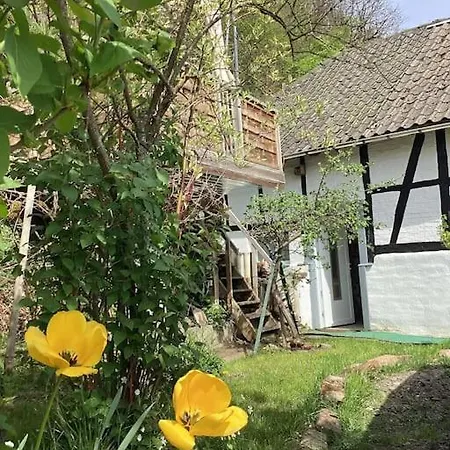 Ferienhaus Eyes Im Nationalpark Eifel Schleiden