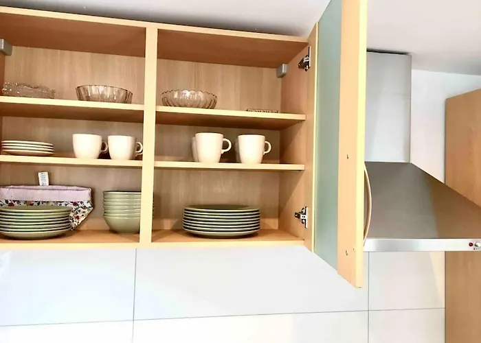 Eyes Im Nationalpark Eifel Schleiden