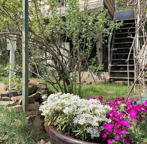 Eyes Im Nationalpark Eifel