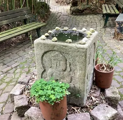 Eyes Im Nationalpark Eifel