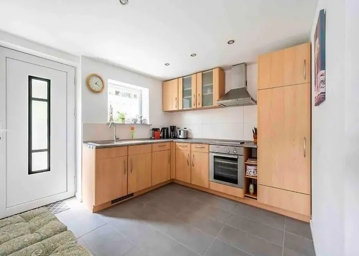 Eyes Im Nationalpark Eifel *