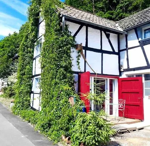 Eyes Im Nationalpark Eifel * Schleiden