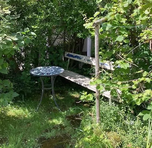 Eyes Im Nationalpark Eifel Schleiden