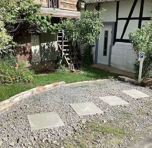 Eyes Im Nationalpark Eifel * Schleiden