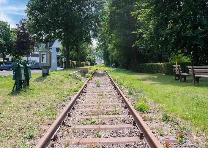 Eyes Im Nationalpark Eifel Schleiden