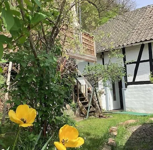 Сasa de vacaciones Eyes Im Nationalpark Eifel Schleiden