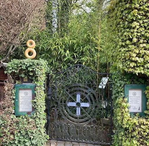 Eyes Im Nationalpark Eifel *